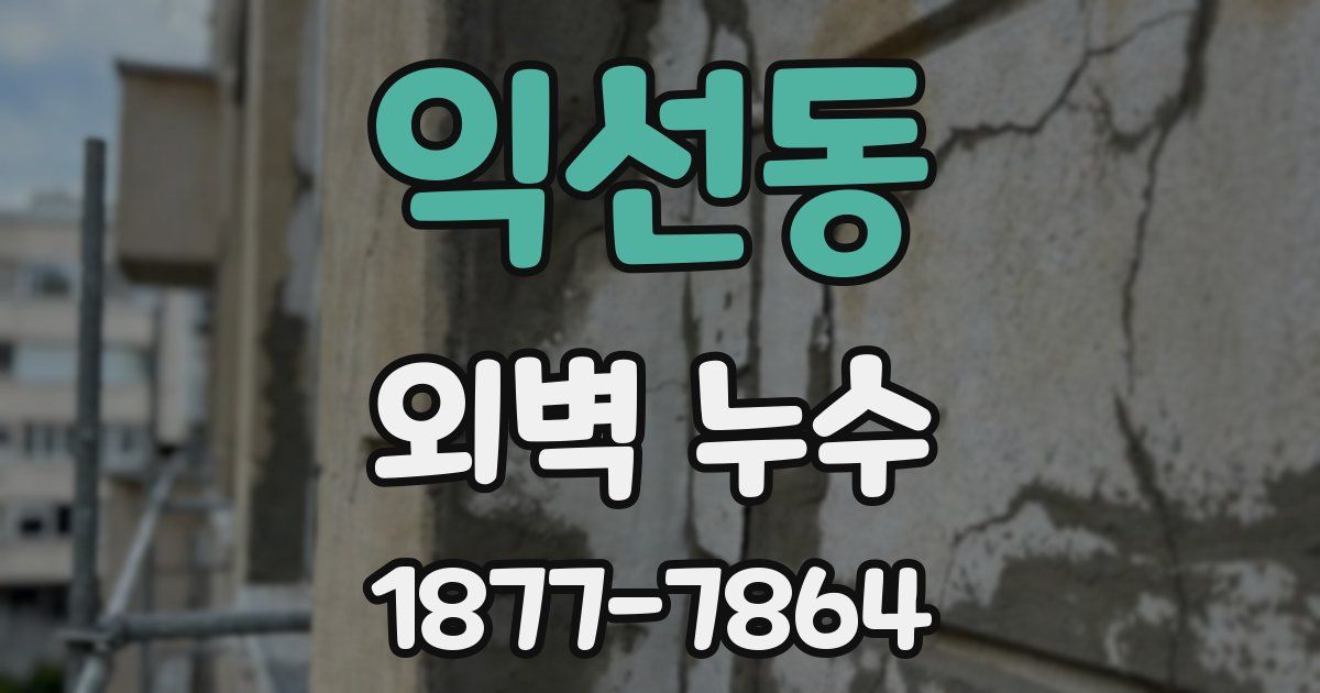 익선동 외벽 누수