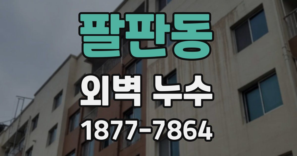 팔판동 외벽 누수