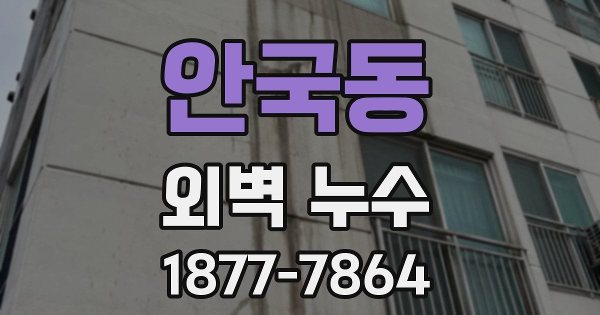 안국동 외벽 누수