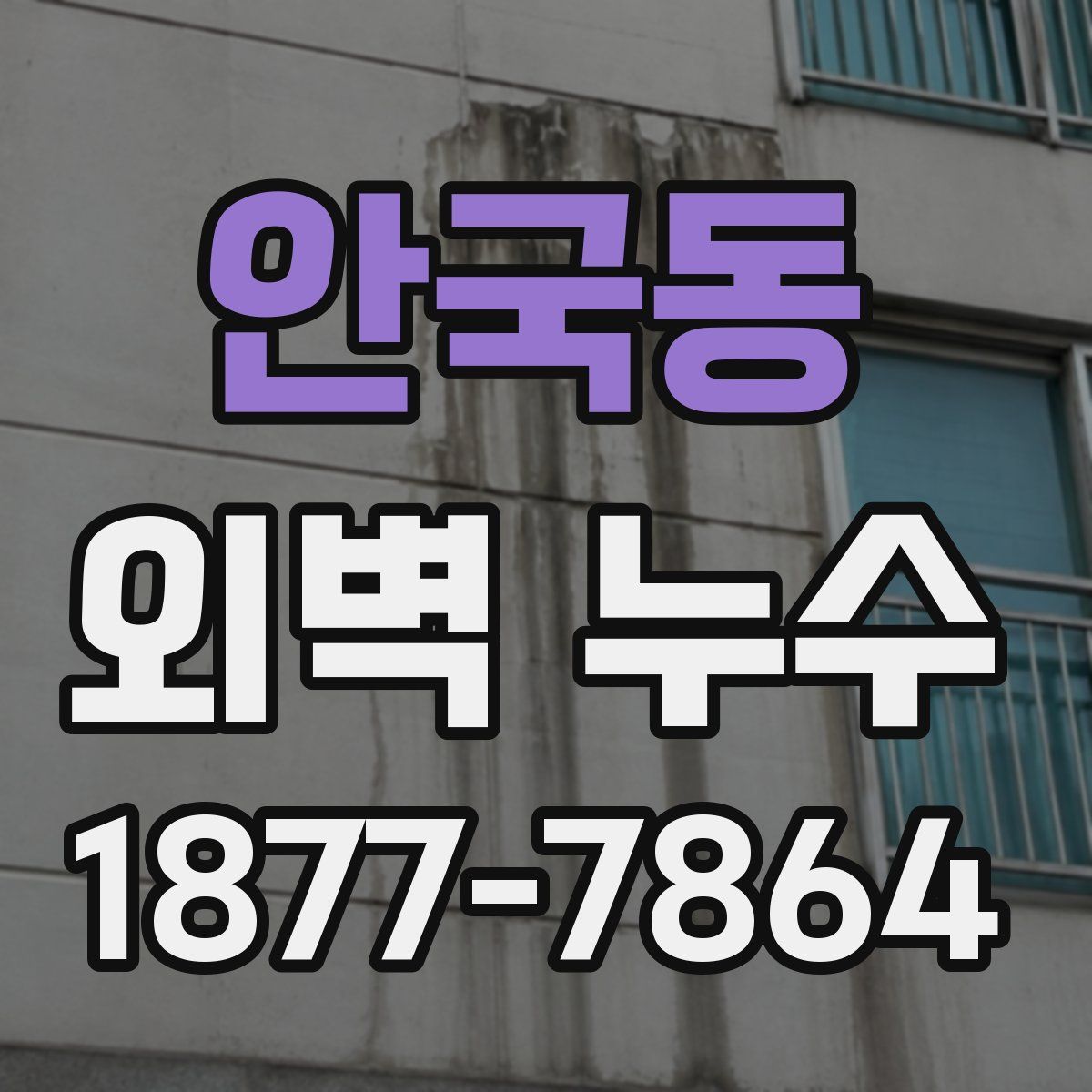 안국동 외벽 누수