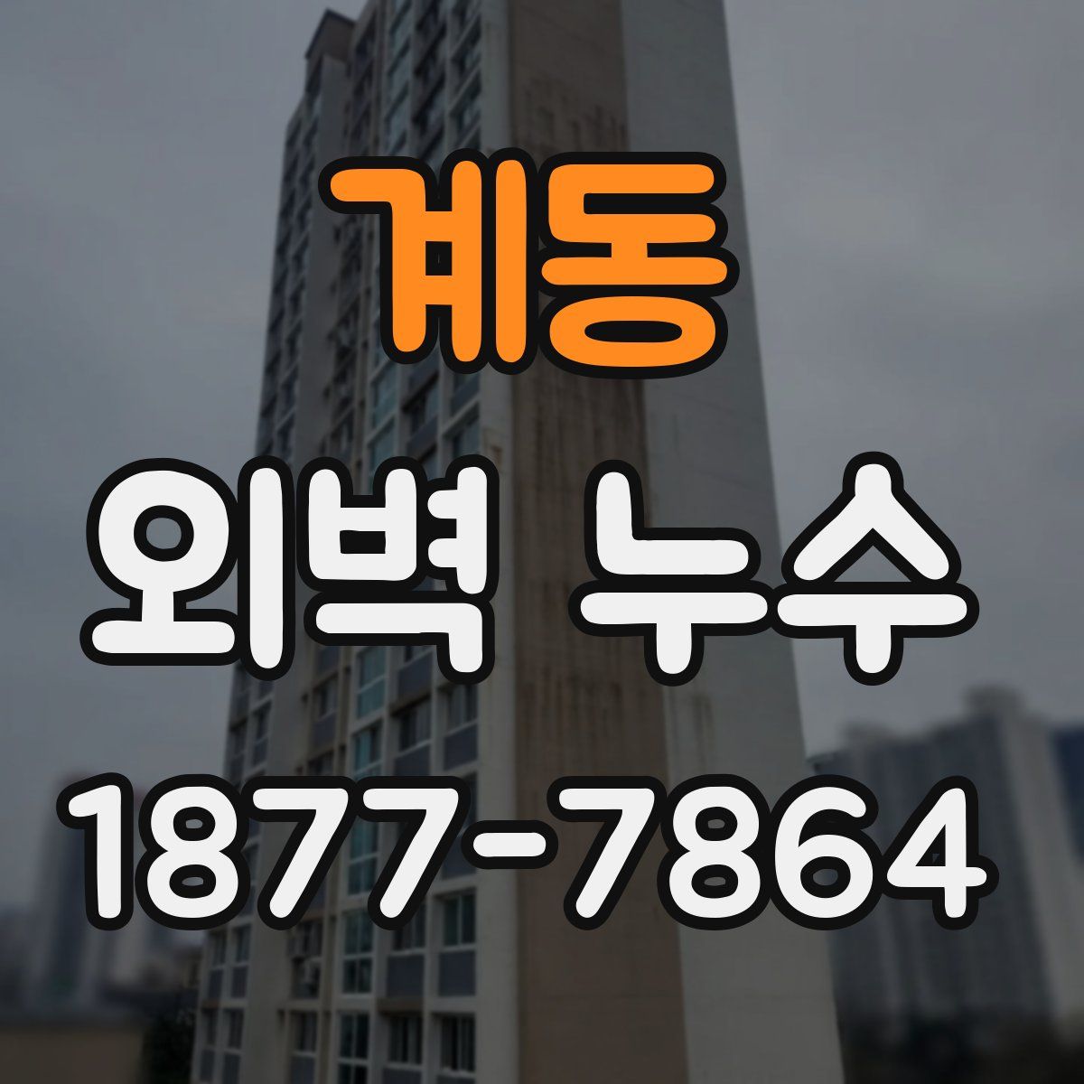 계동 외벽 누수
