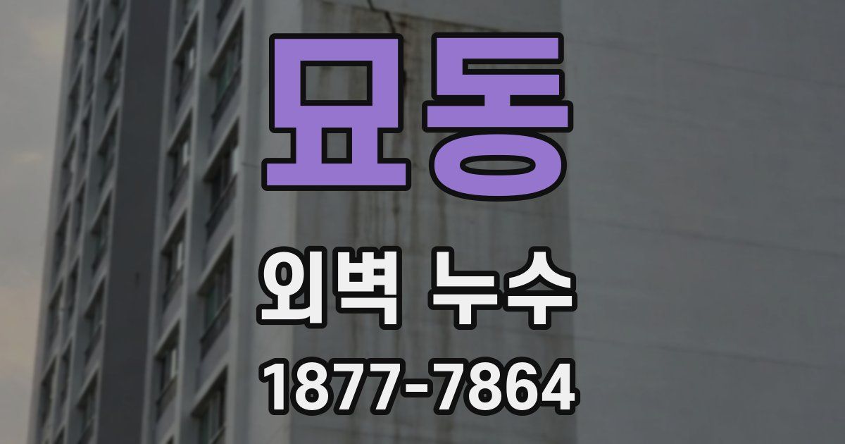 묘동 외벽 누수