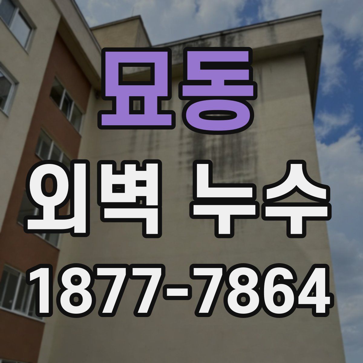 묘동 외벽 누수