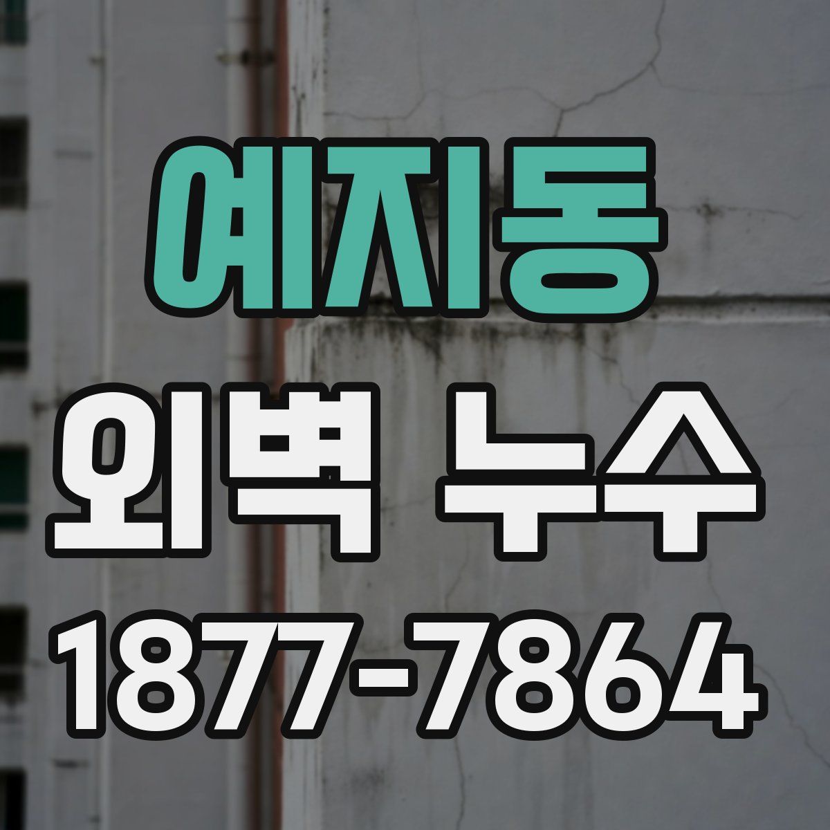 예지동 외벽 누수