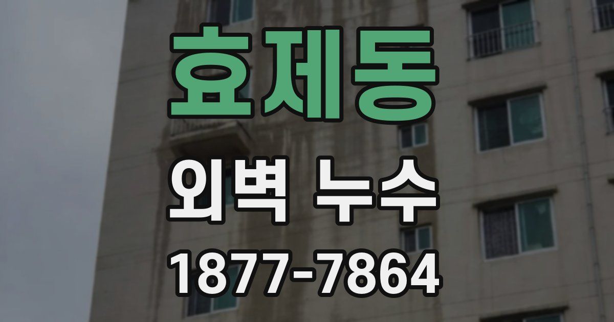 효제동 외벽 누수