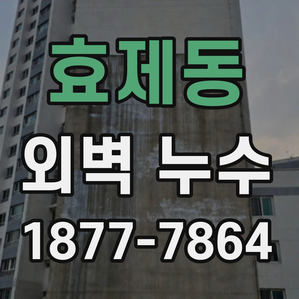 효제동 외벽 누수
