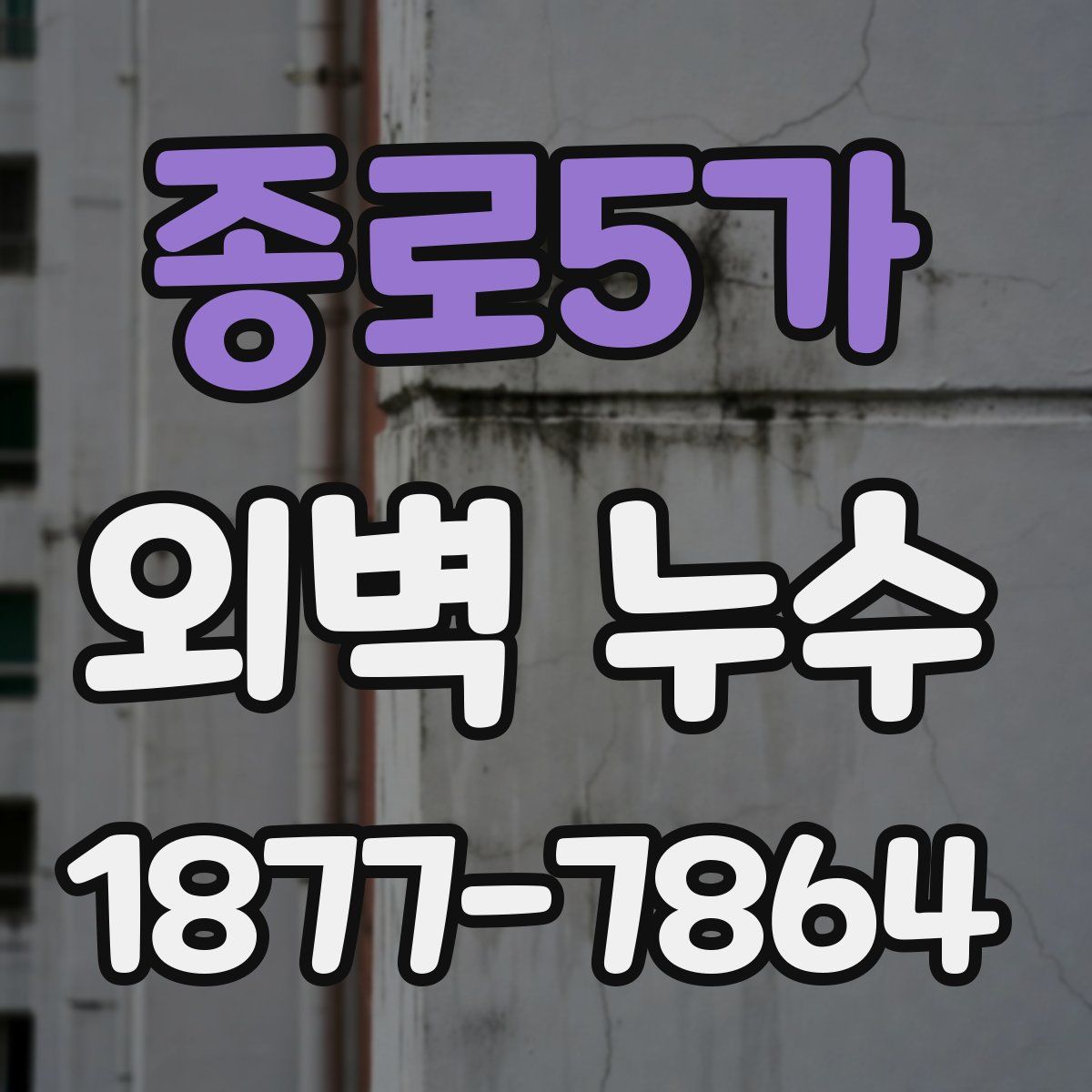 종로5가 외벽 누수