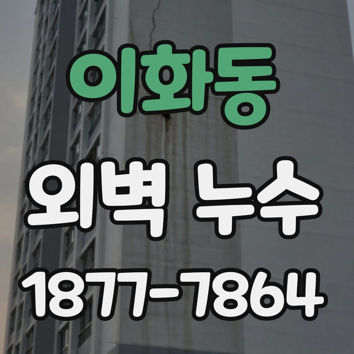 이화동 외벽 누수