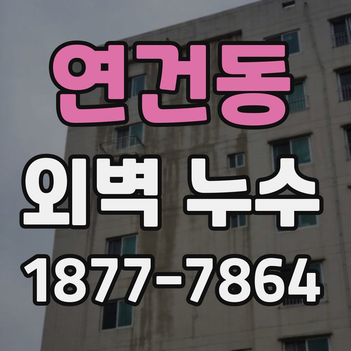 연건동 외벽 누수