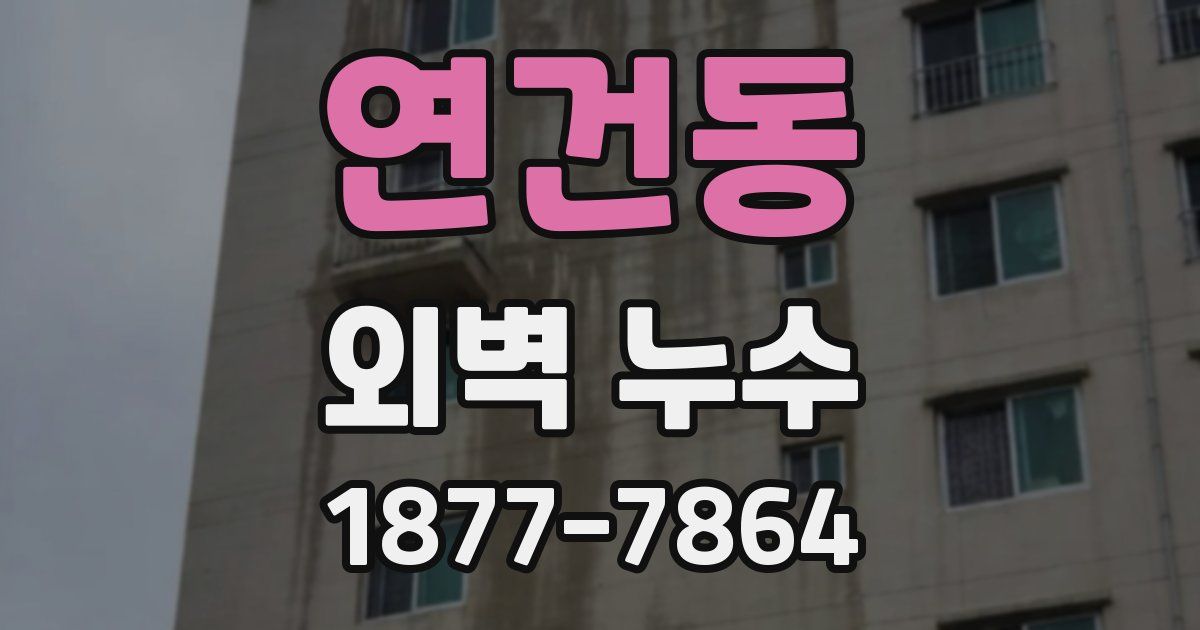연건동 외벽 누수