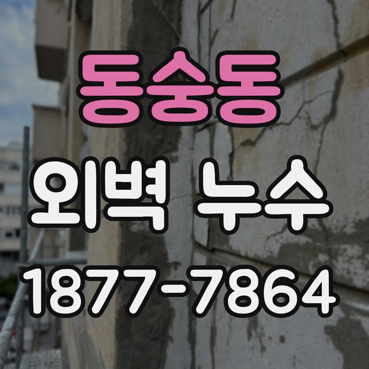동숭동 외벽 누수