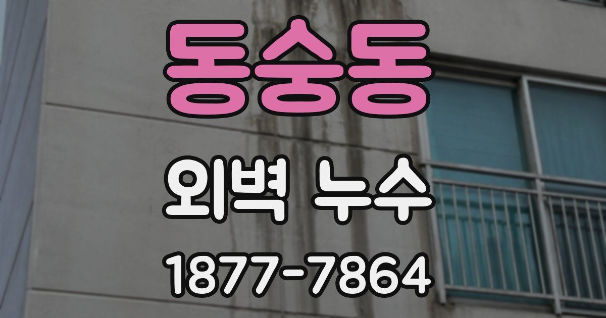 동숭동 외벽 누수