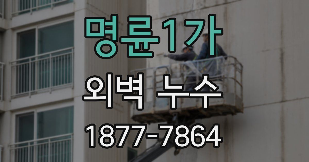 명륜1가 외벽 누수