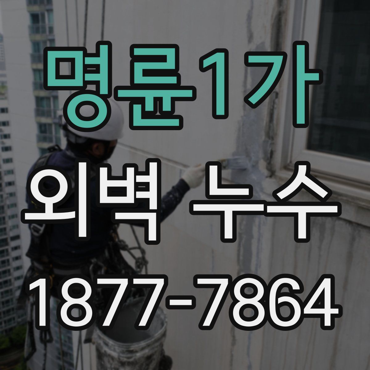 명륜1가 외벽 누수