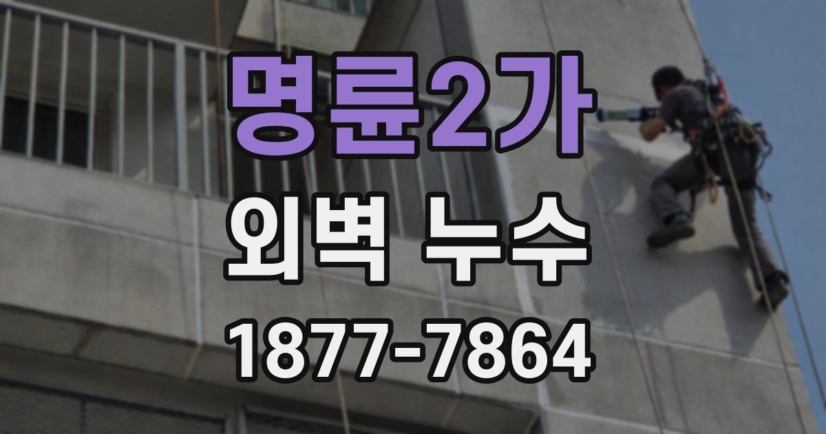 명륜2가 외벽 누수