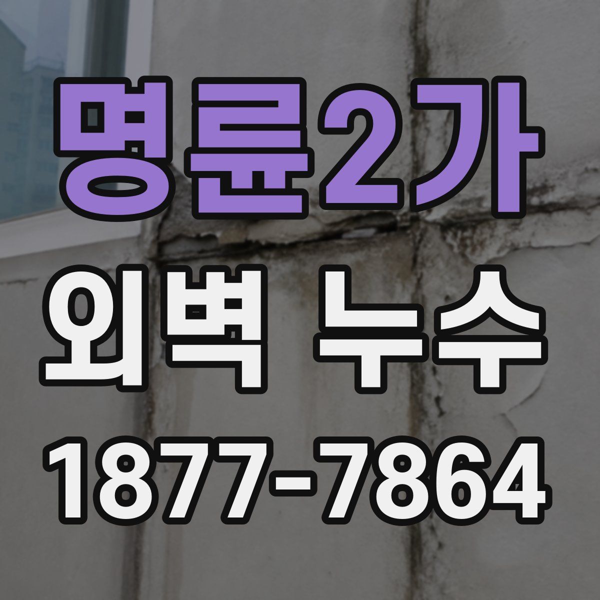 명륜2가 외벽 누수