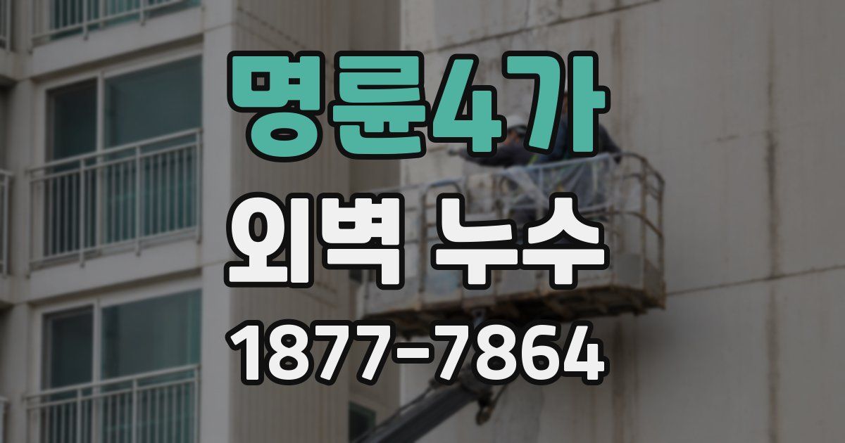 명륜4가 외벽 누수