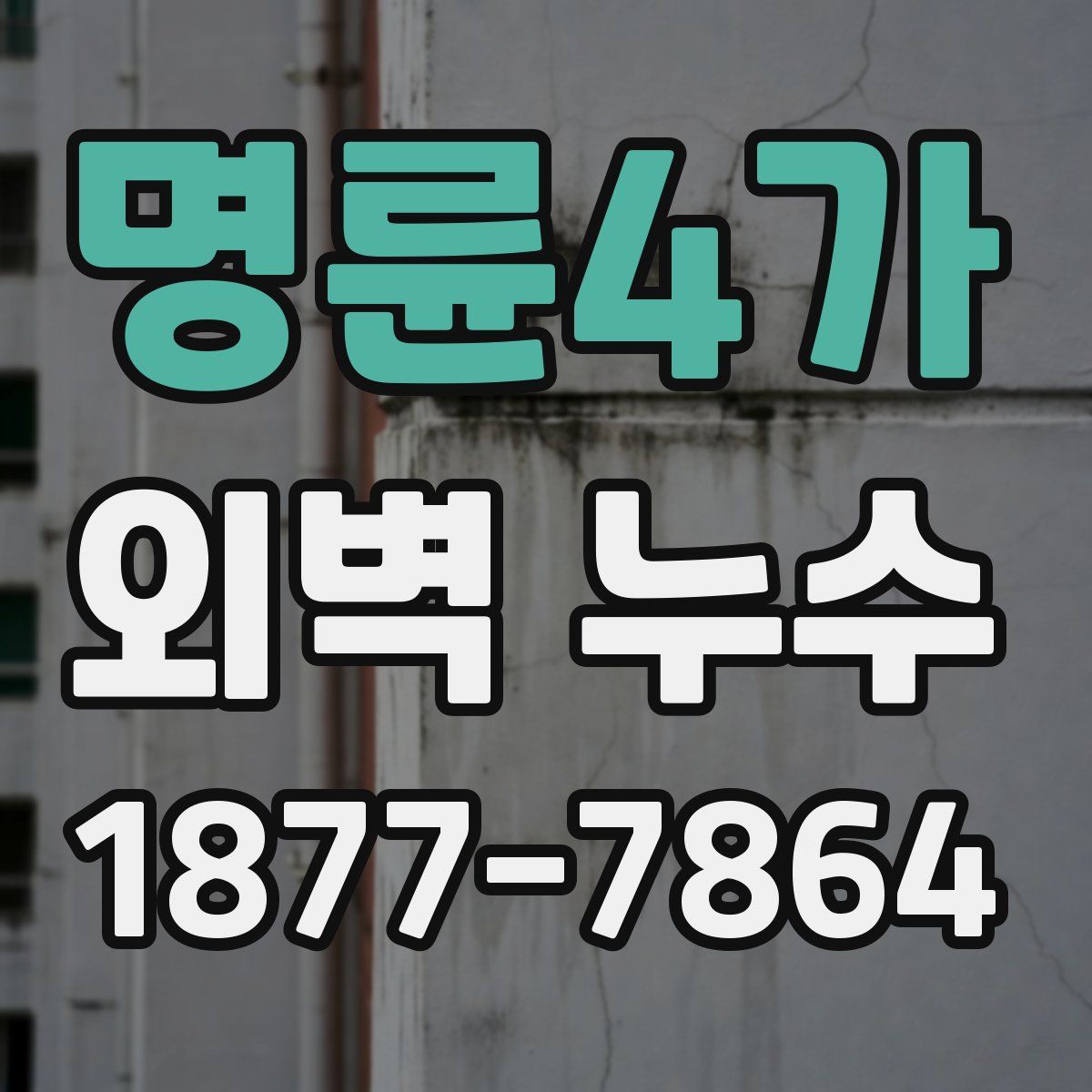 명륜4가 외벽 누수