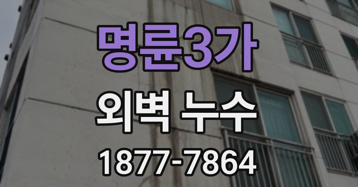 명륜3가 외벽 누수