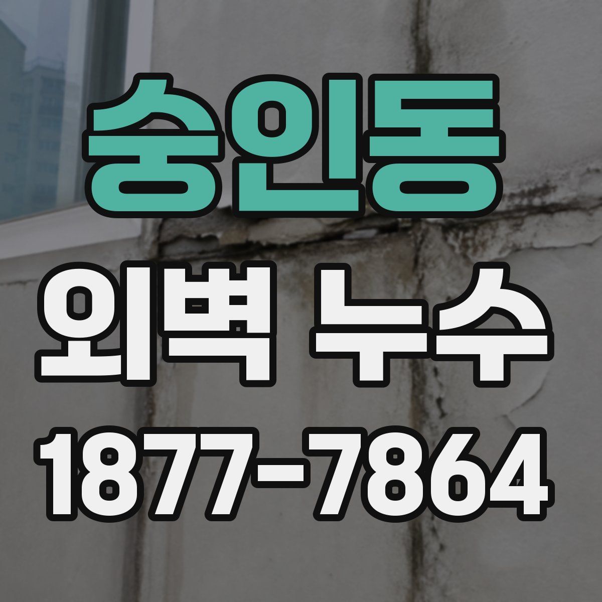 숭인동 외벽 누수