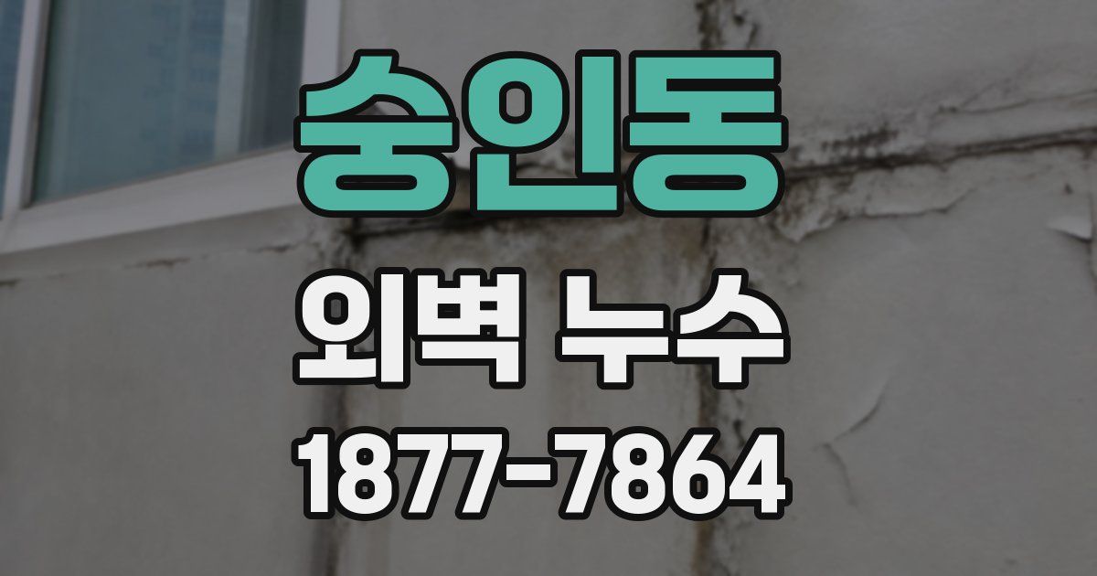숭인동 외벽 누수