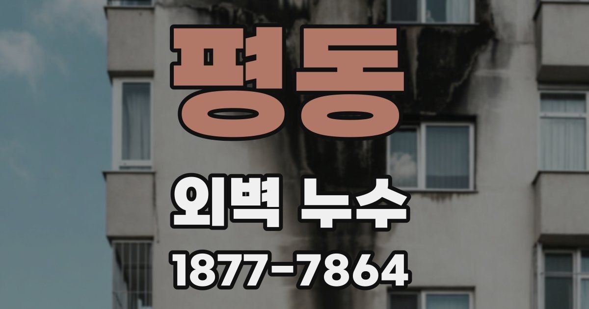 평동 외벽 누수