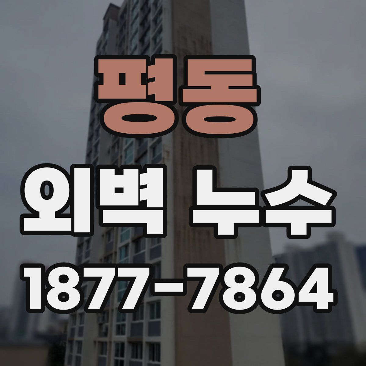 평동 외벽 누수