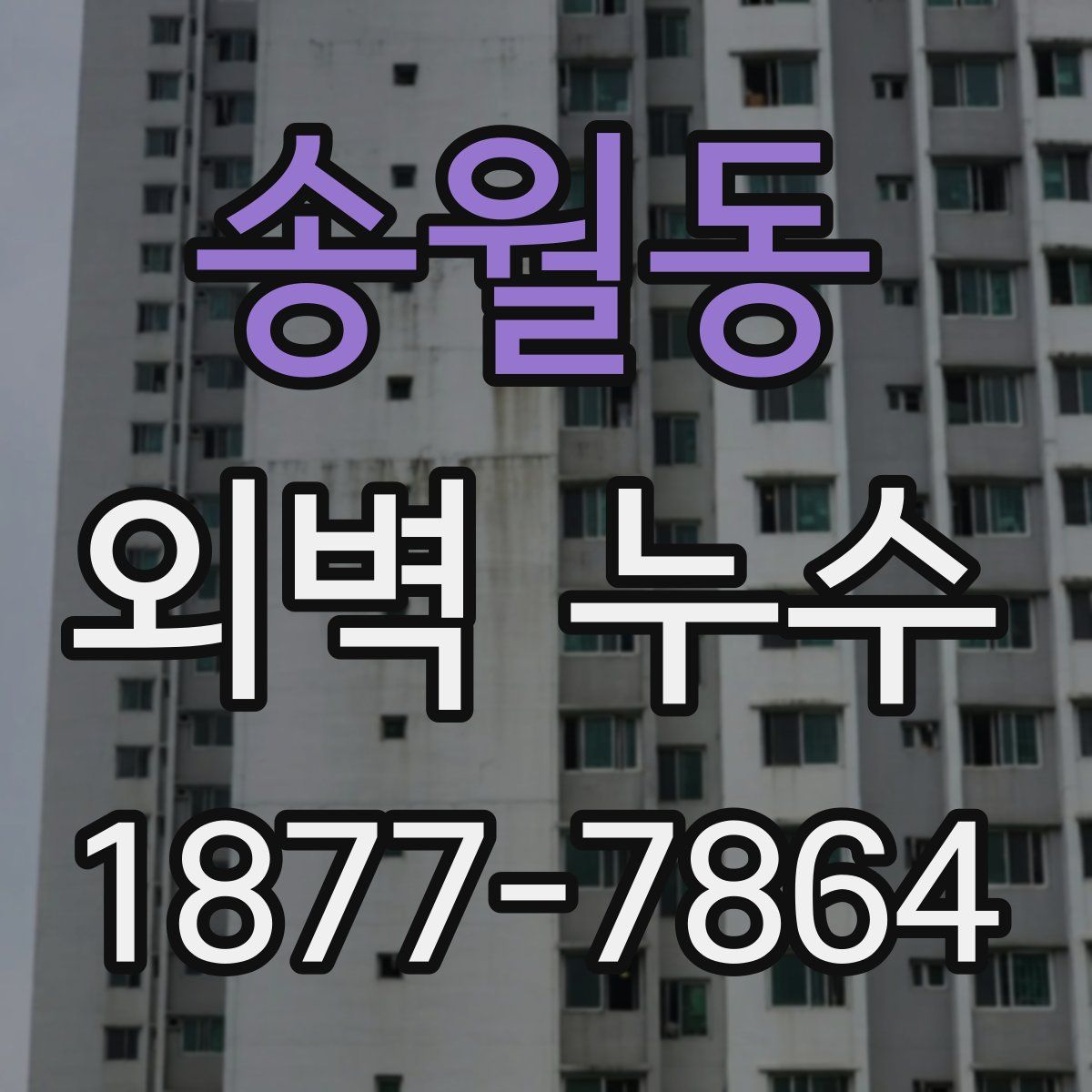 송월동 외벽 누수