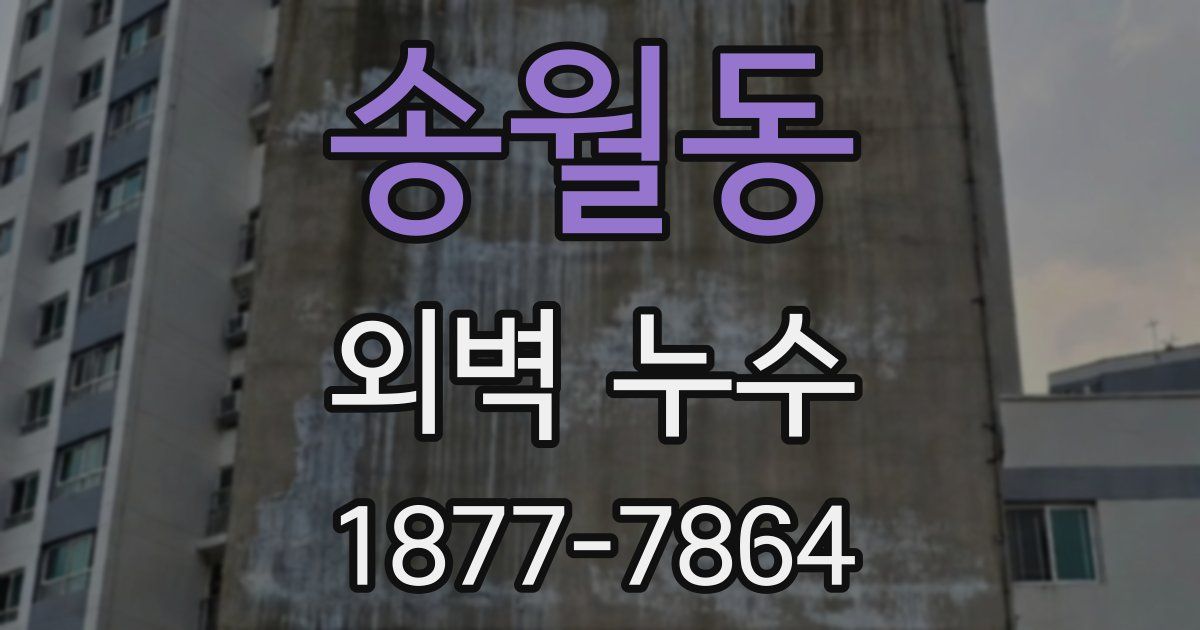 송월동 외벽 누수