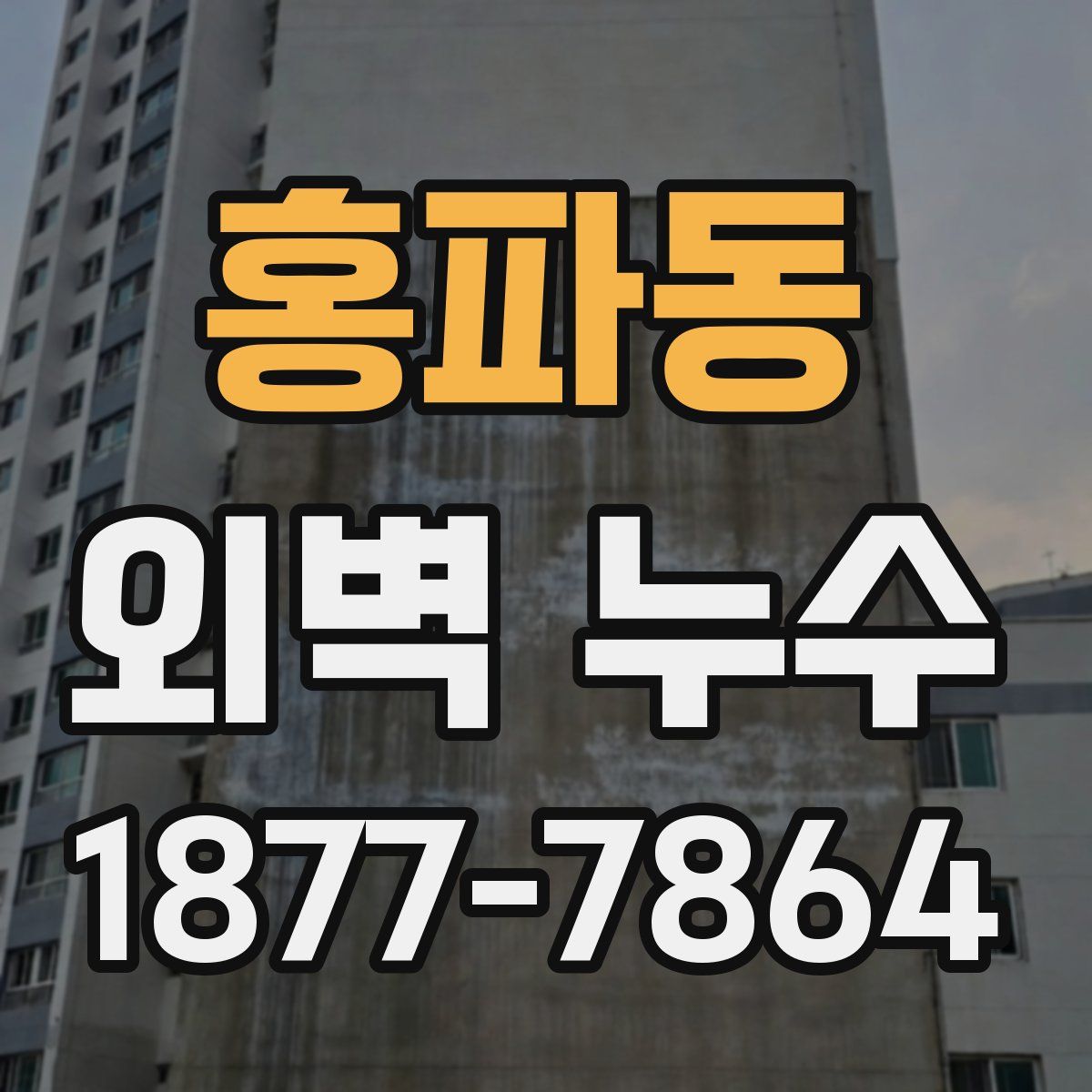 홍파동 외벽 누수