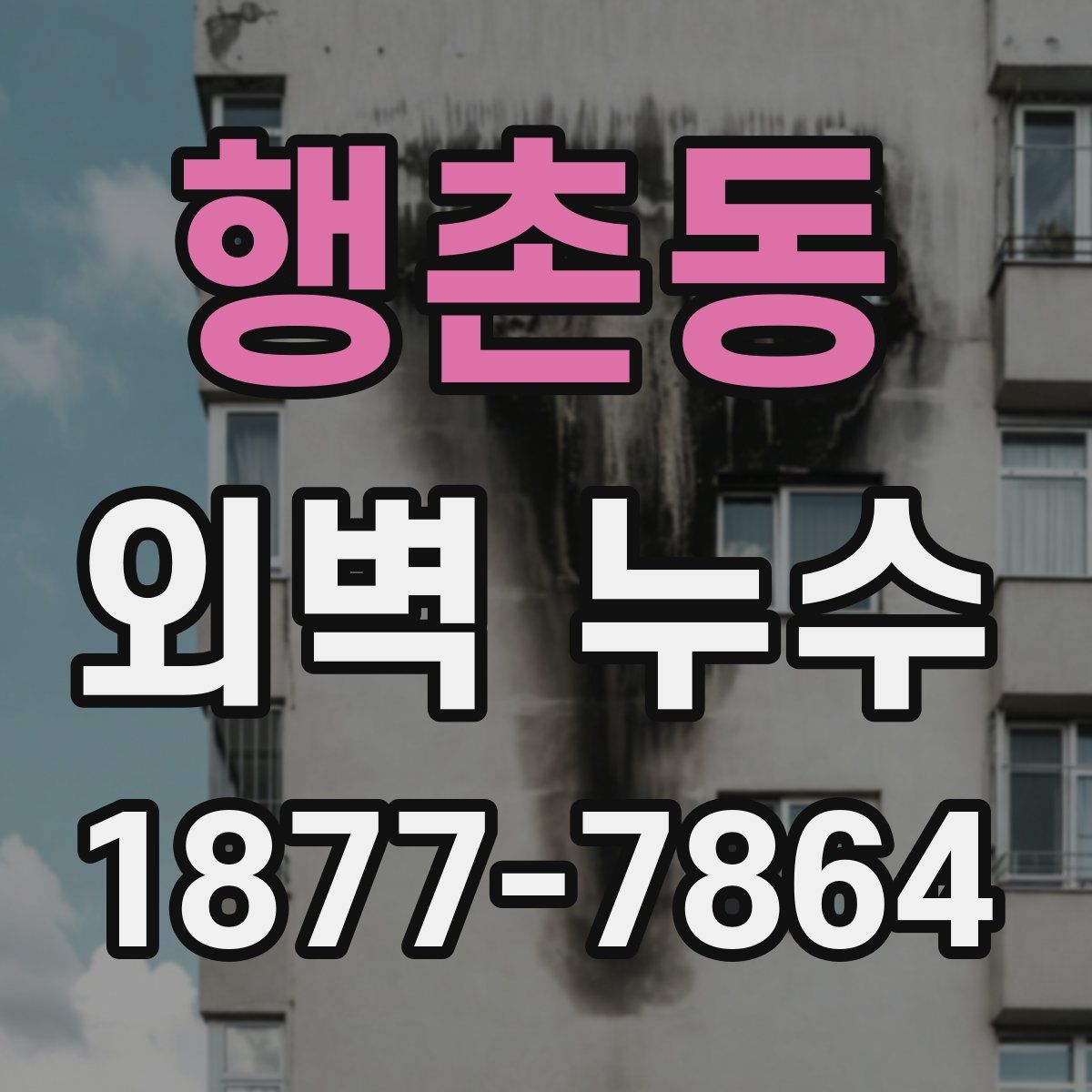 행촌동 외벽 누수
