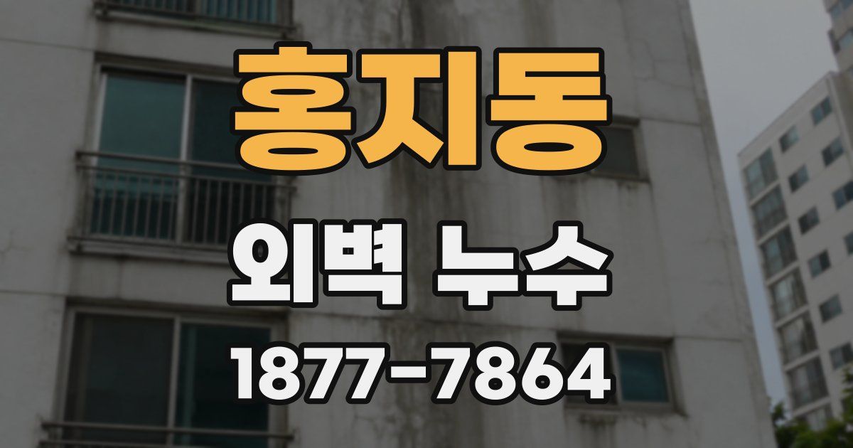 홍지동 외벽 누수
