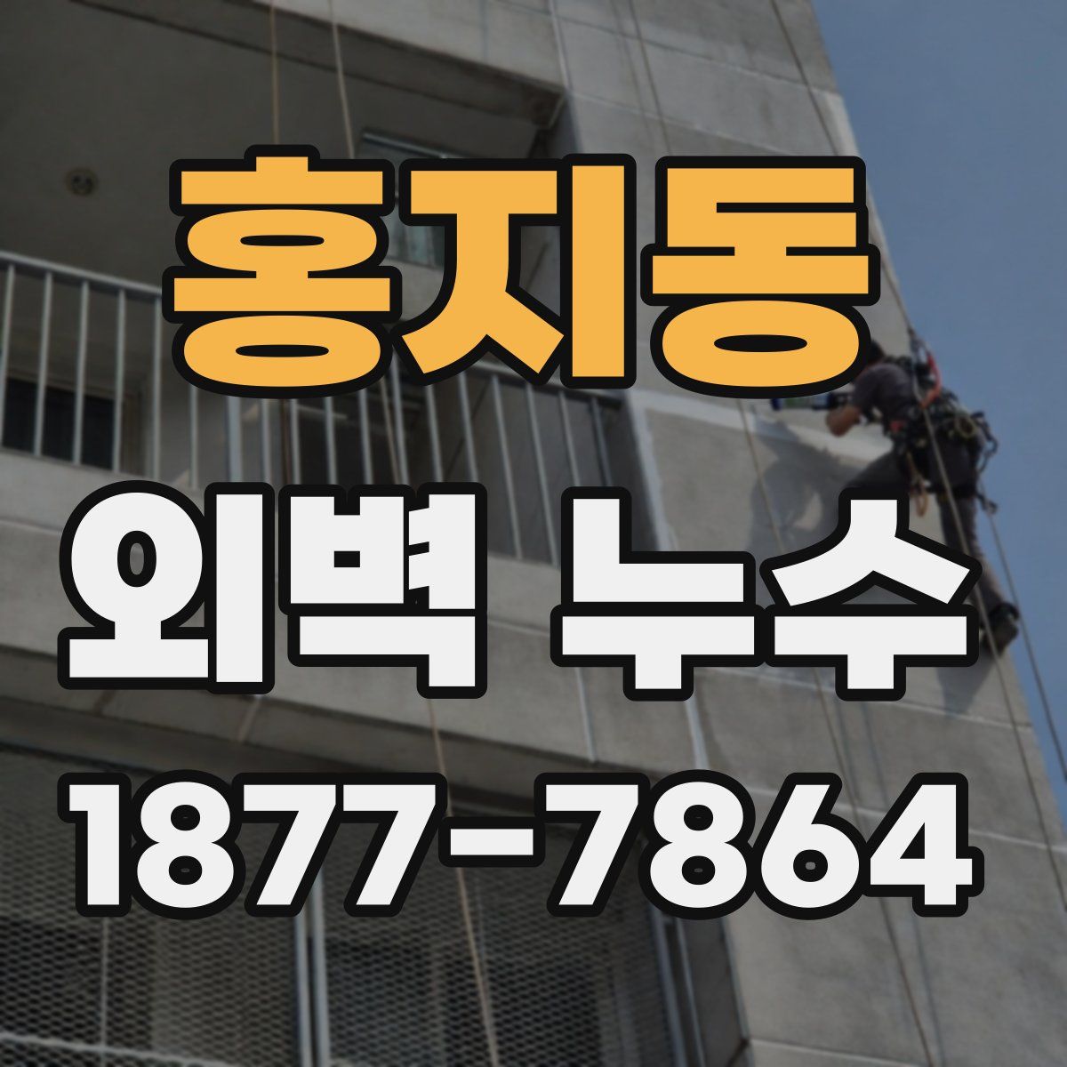 홍지동 외벽 누수