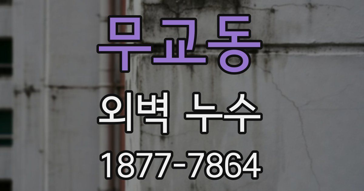 무교동 외벽 누수