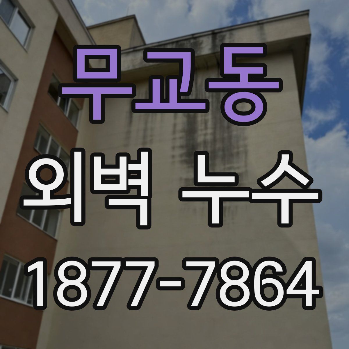 무교동 외벽 누수