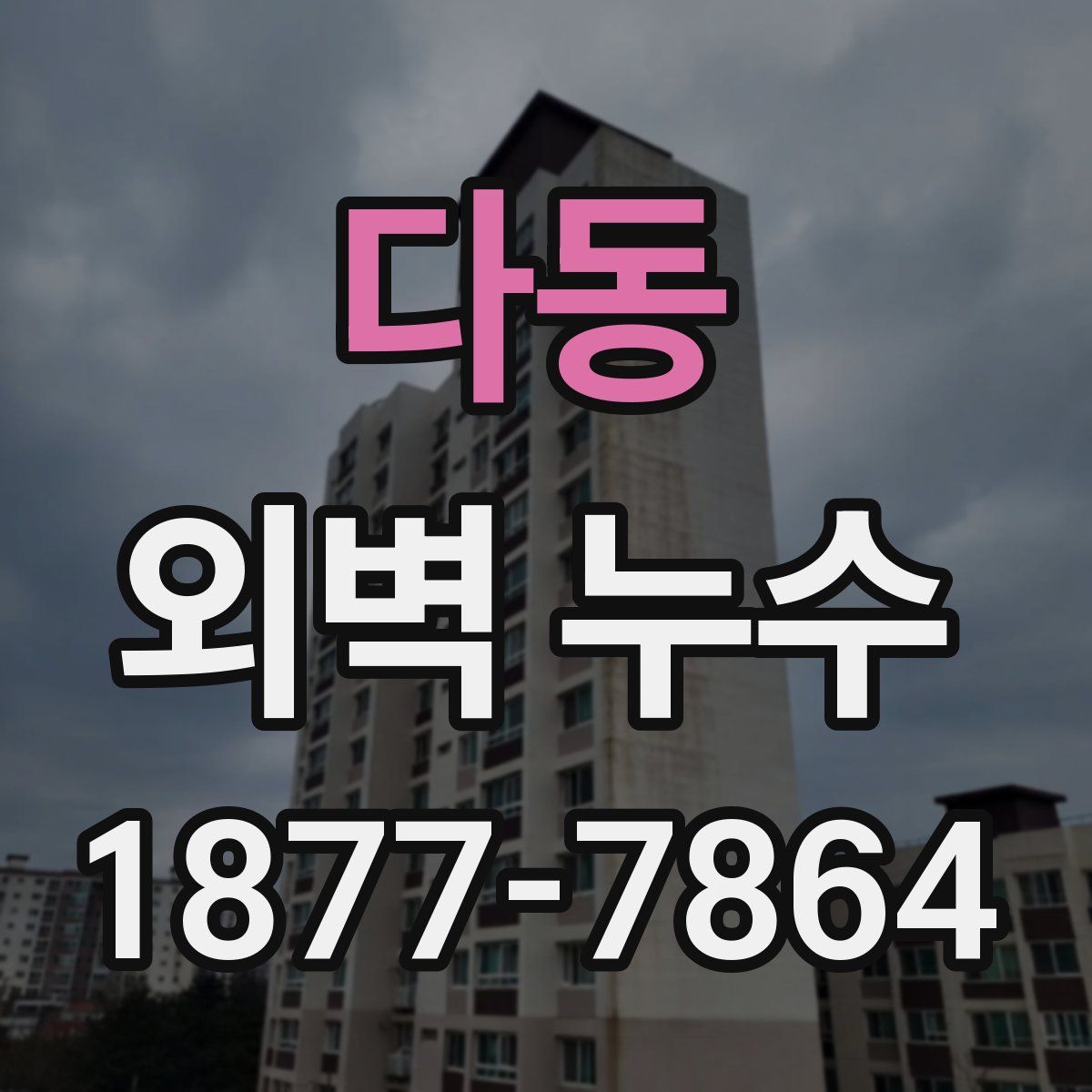 다동 외벽 누수