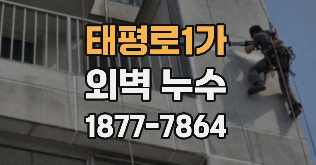 태평로1가 외벽 누수
