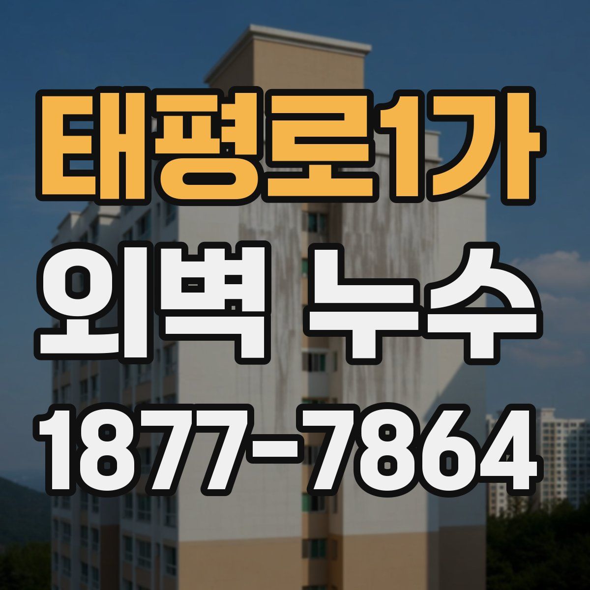 태평로1가 외벽 누수