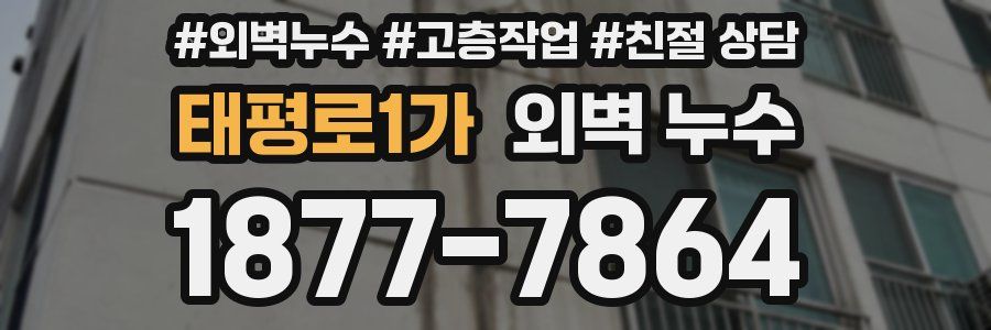 태평로1가 외벽 누수