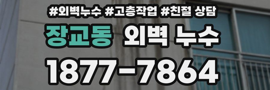 장교동 외벽 누수