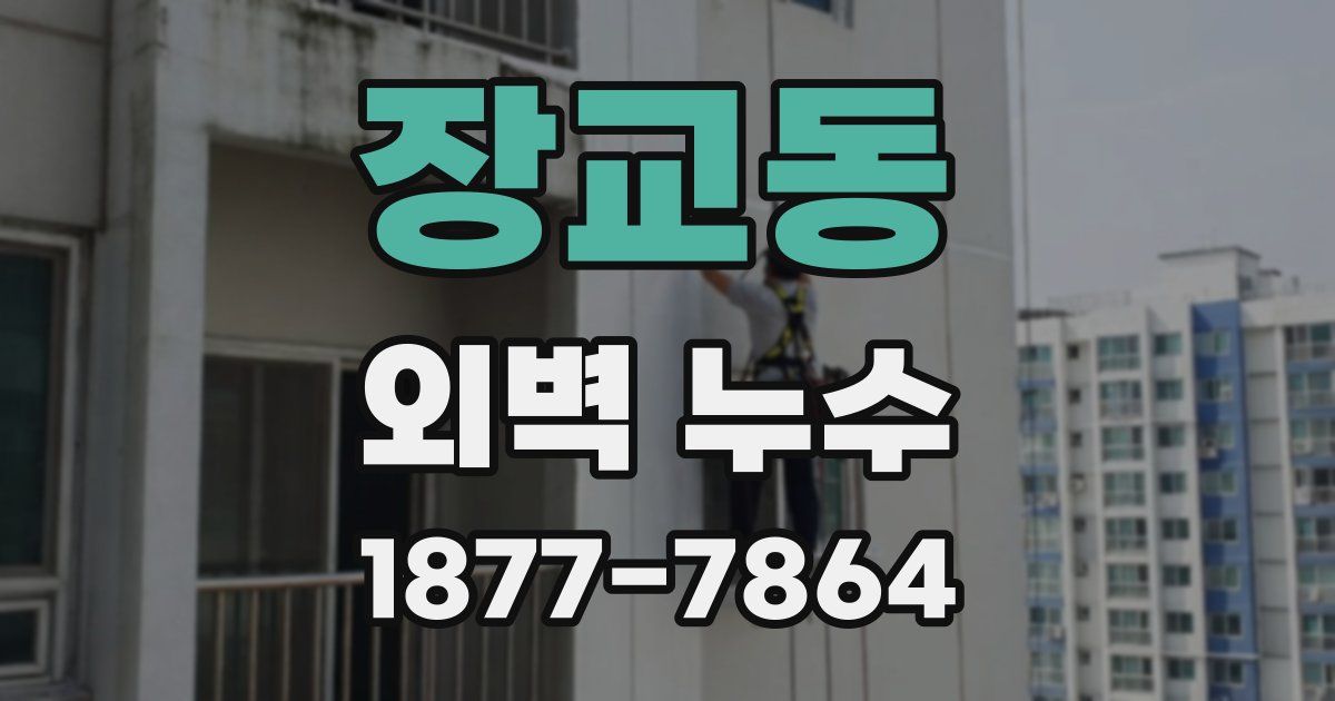 장교동 외벽 누수