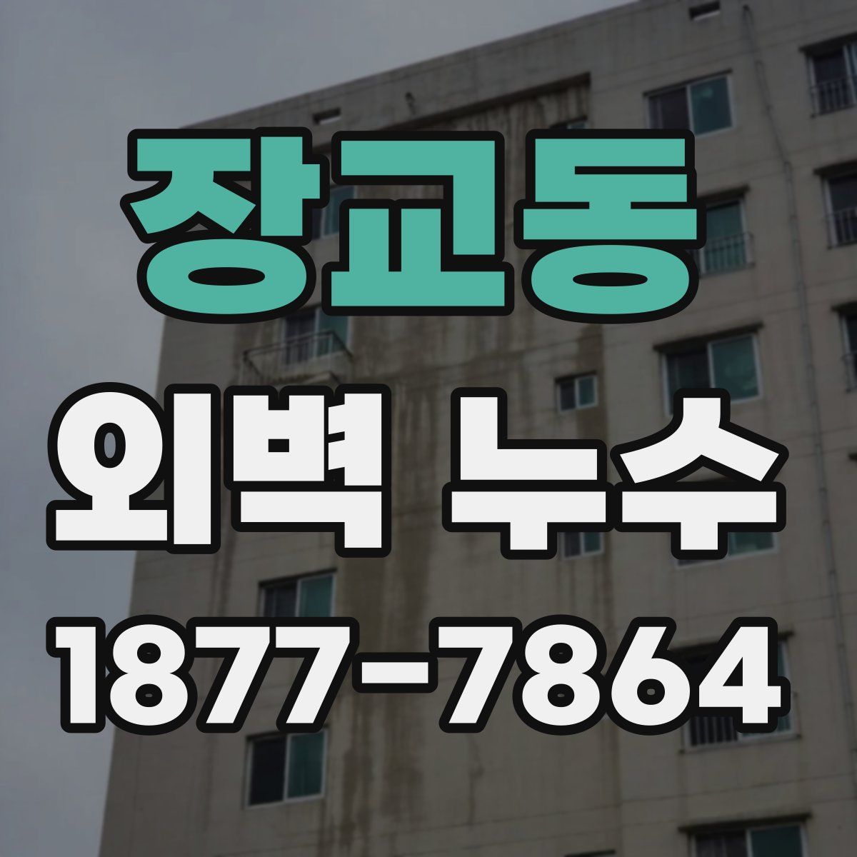 장교동 외벽 누수