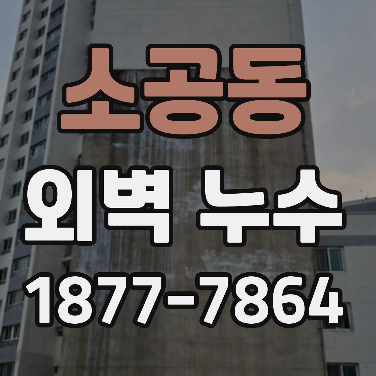 소공동 외벽 누수