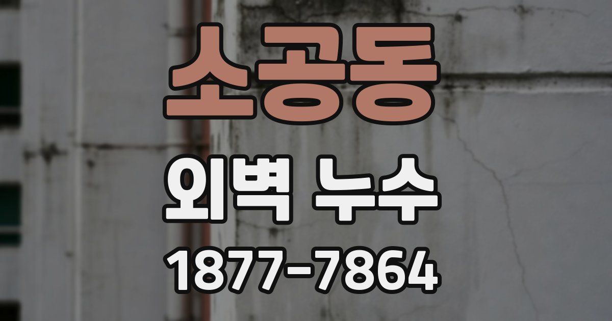 소공동 외벽 누수