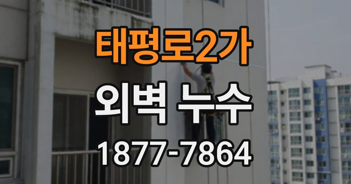 태평로2가 외벽 누수