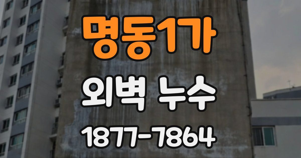 명동1가 외벽 누수