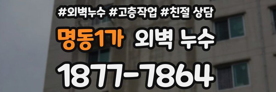 명동1가 외벽 누수