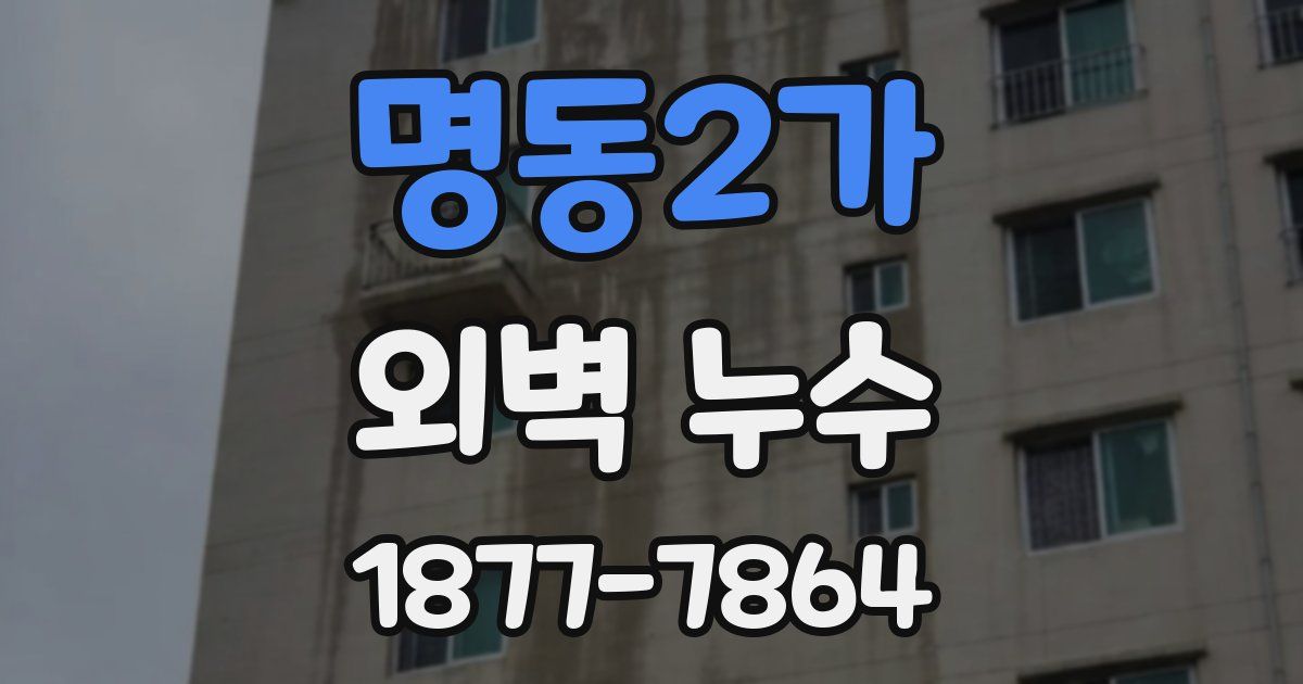 명동2가 외벽 누수