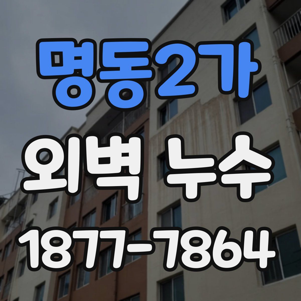 명동2가 외벽 누수