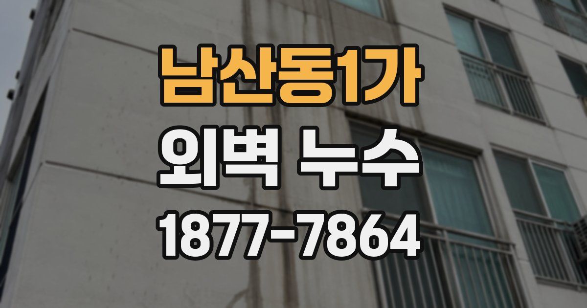 남산동1가 외벽 누수